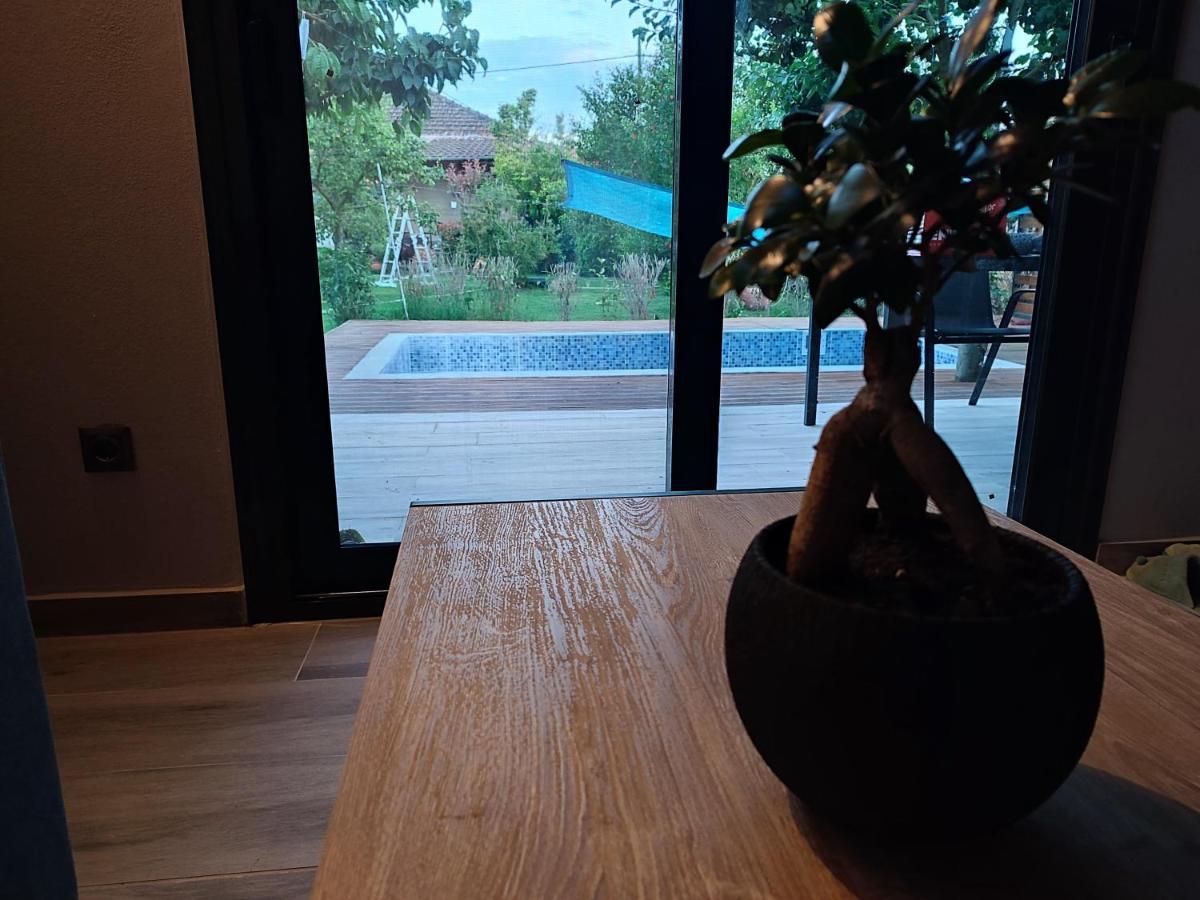 Mosquito Luxury קראמוטי
